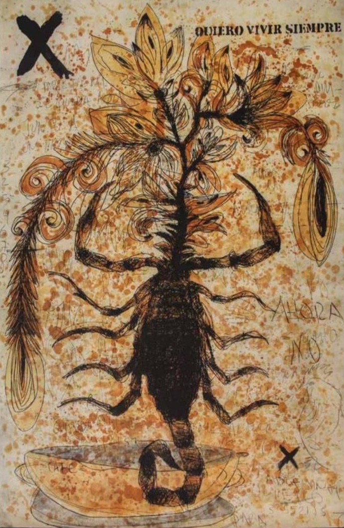 Amador Montes