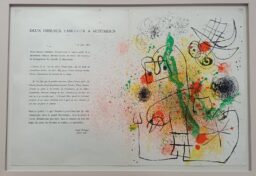 Deux Oiseaux Fabuleux A Altomiro