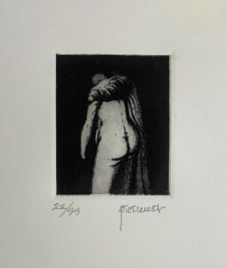 Fernando Pereznieto S/T (18)