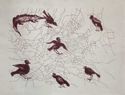 Birds and Crocodile