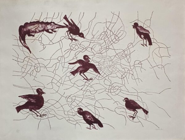Birds and Crocodile