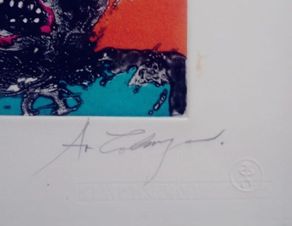 S/T Alejandro Colunga (2) - Image 2