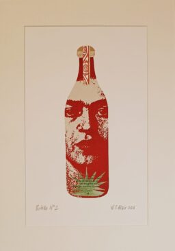 Botella N2