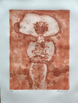 Gerardo Cantú S/T (2)