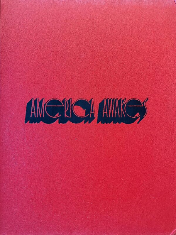 America Awakes - Image 2
