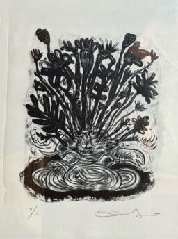 Tortuga