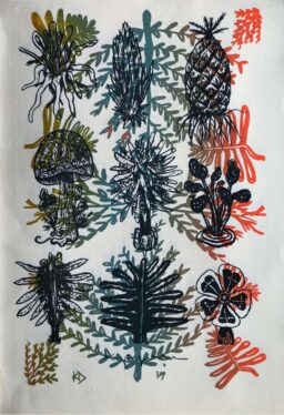 Plantas de poder