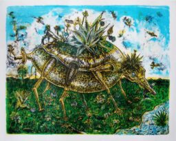 Engendro del maguey