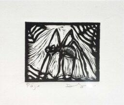 Araña