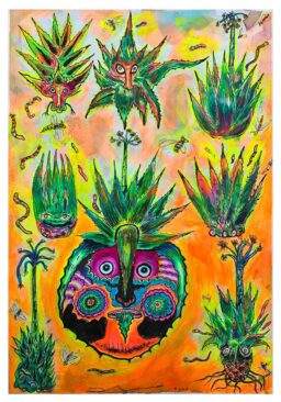 Gusanos de maguey