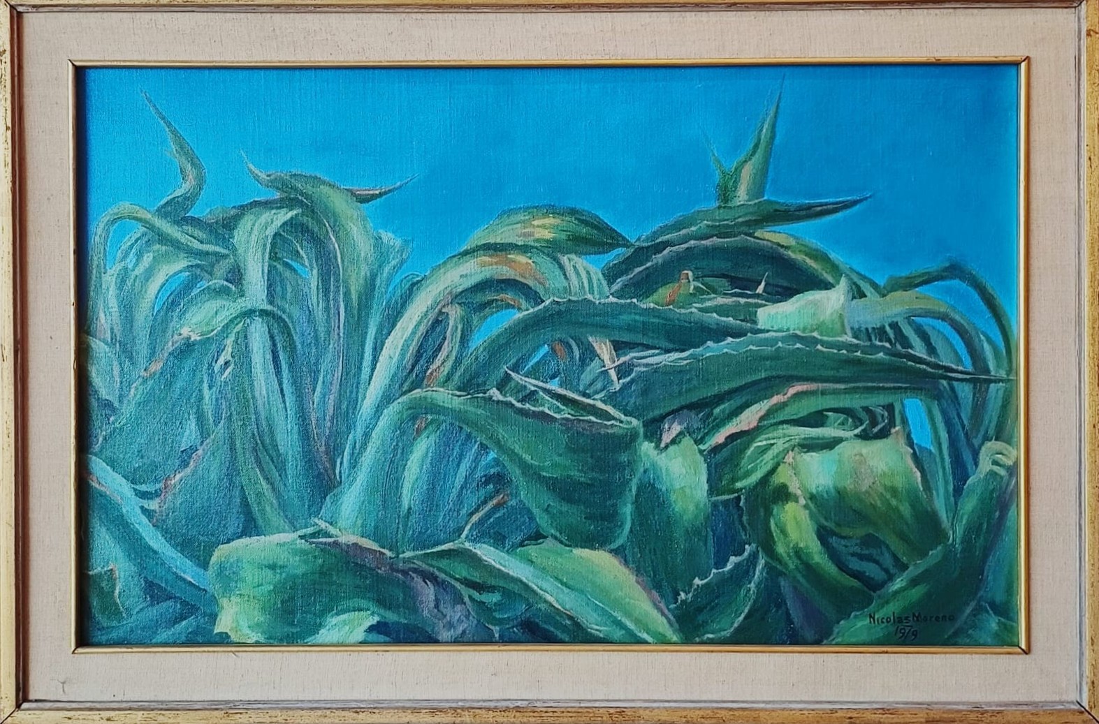 Cielo Azul y Magueyes