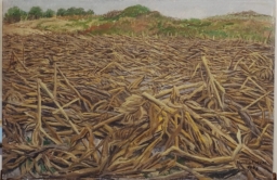 Nicolás Moreno S/T (2)