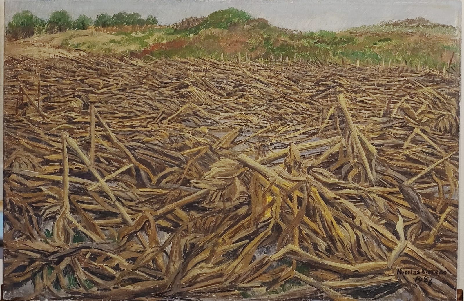 Nicolás Moreno S/T (2)