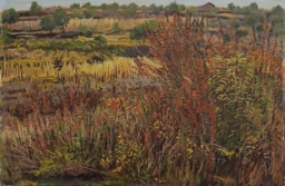 Nicolás Moreno S/T (5)