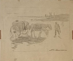 Edgardo Coghlan S/T (65)