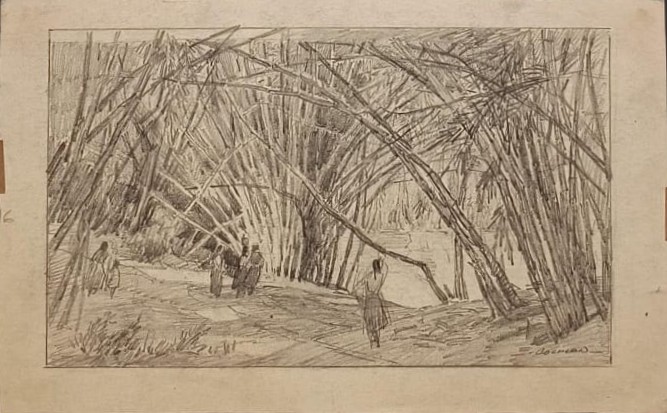 Edgardo Coghlan S/T (83)