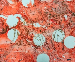 Sergio Hernández S/T (67)