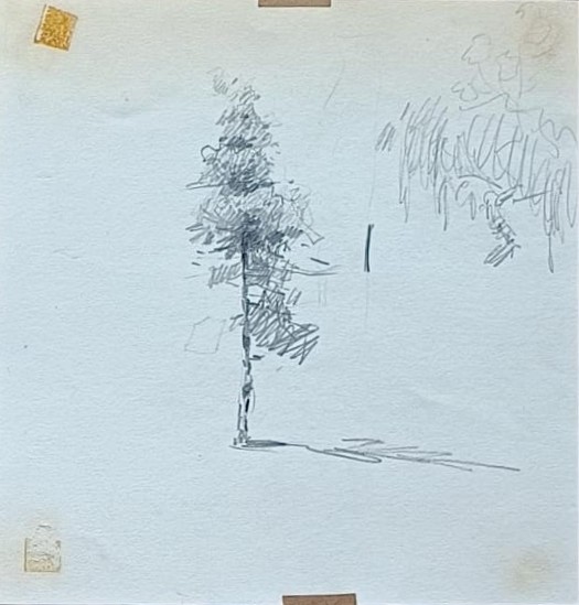 Edgardo Coghlan S/T (26)