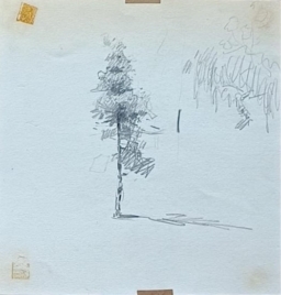 Edgardo Coghlan S/T (26)