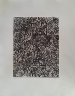 Francisco Toledo S/T (9)