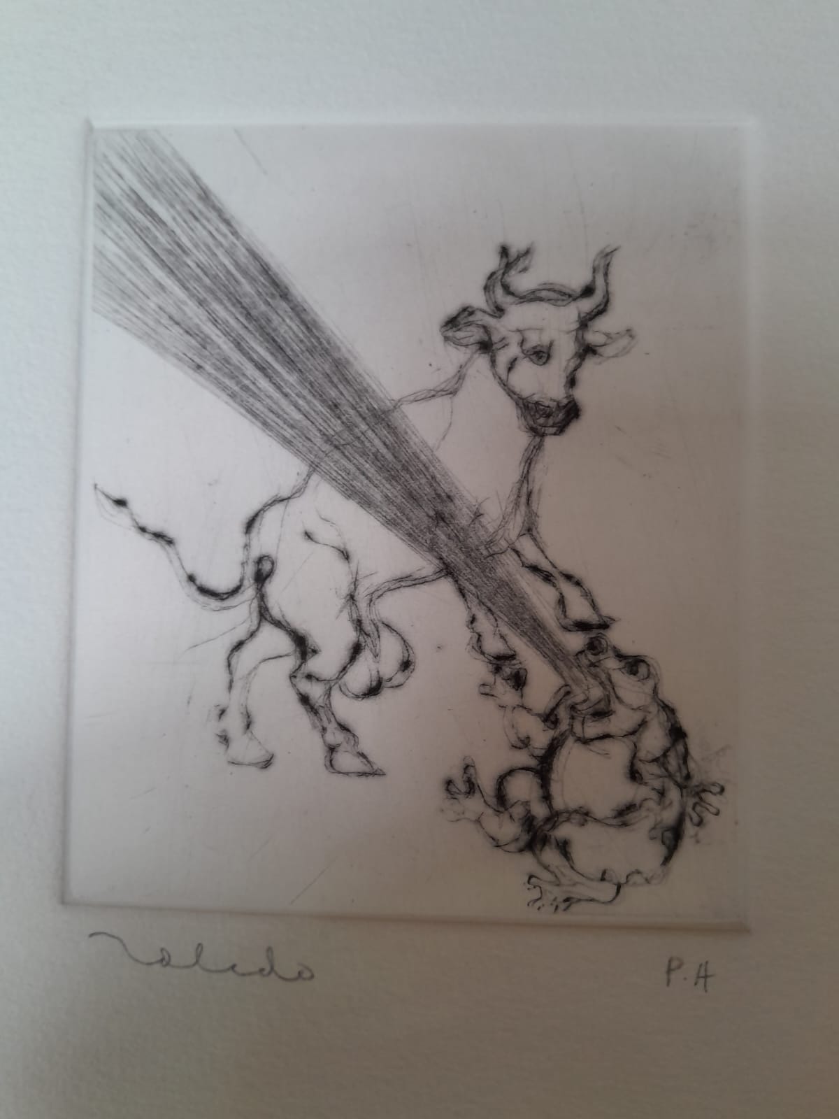 Francisco Toledo S/T (4) - Image 2