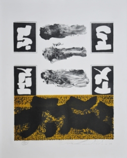 Ismael Guardado S/T (8)