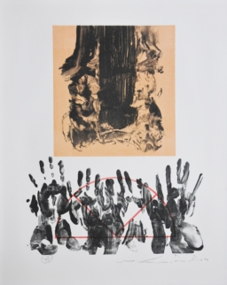 Ismael Guardado S/T (4)