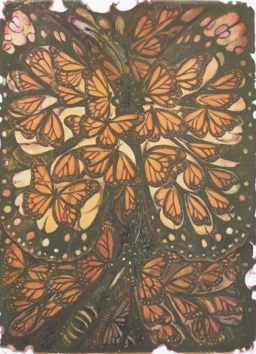 Cuauhtémoc Rodriguez S/T (15)