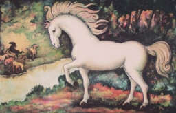 Cuauhtémoc Rodriguez S/T (25)