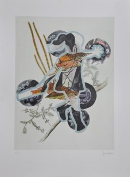 Francisco Larios S/T (6)