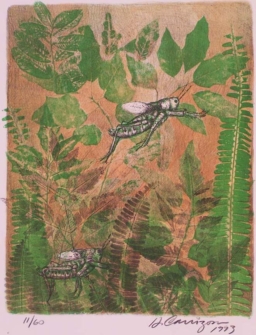 Hector Carrizosa S/T (47)